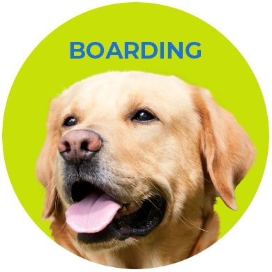 boarding circle