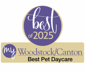 My Woodstock-Canton 2025 Best Pet Daycare
