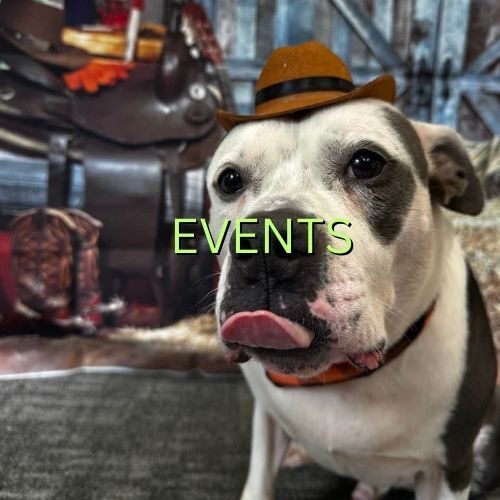EVENTS